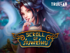 Güvenilir casino slot siteleri58